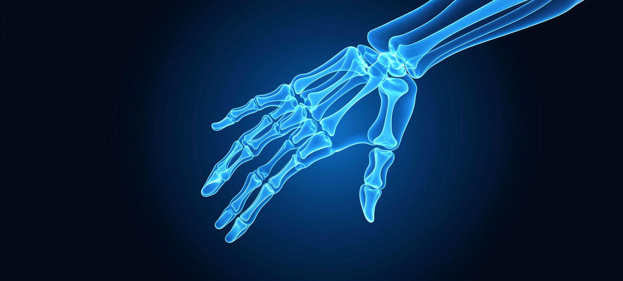 hand.jpg